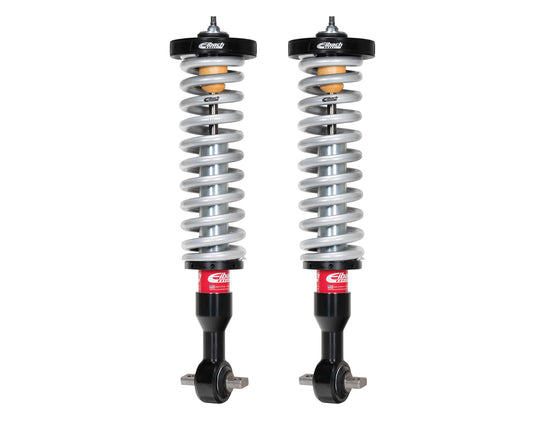 Coilover Spring and Shock Assembly by Eibach