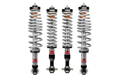 Coilover Spring and Shock Assembly by Eibach