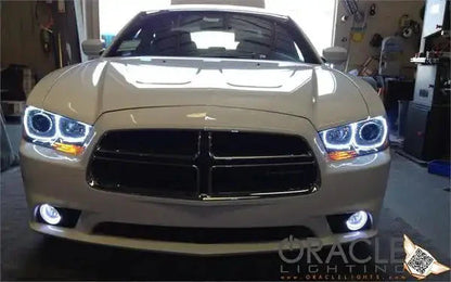 ORACLE Lighting 2011-2014 Dodge Charger LED Fog Light Halo Kit by ORACLE Lighting