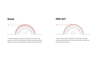 Coil Spring Lowering Kit by Eibach